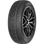 Шины Autogreen Snow Chaser 2 AW08 225/55 R16 95H