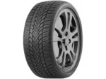 Шины Roadmarch WinterXPro 888 225/65 R16 100T